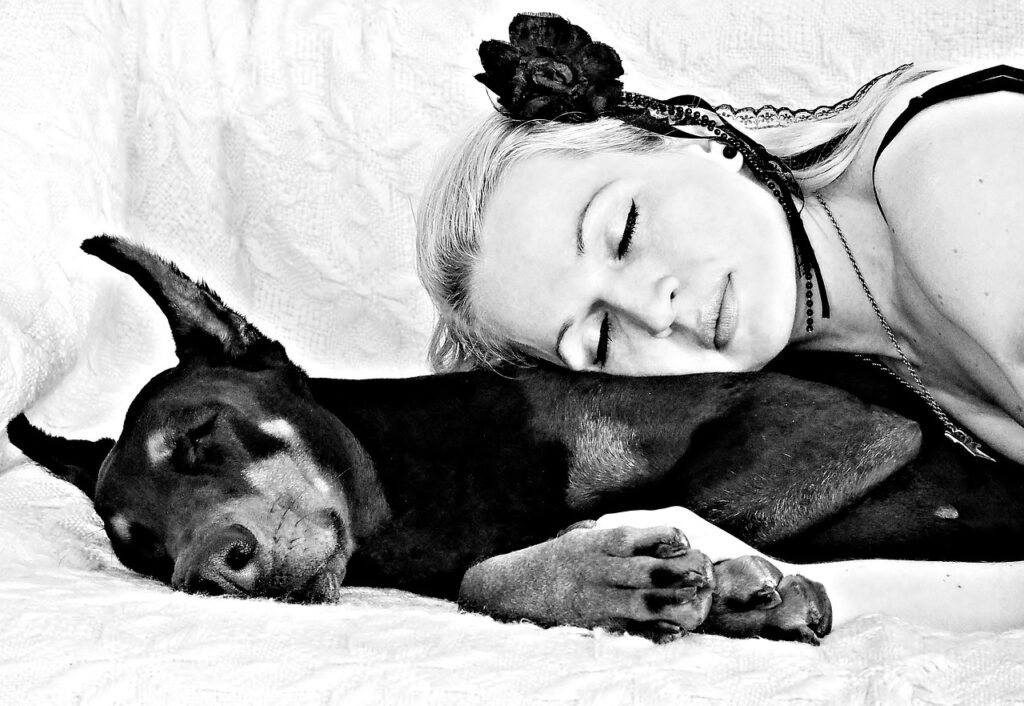 black white, dog, blonde woman, doberman, sleep, love